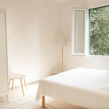 Apartment Il Pesciolino L Firenze